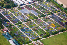 Garden center Kaiserstuehler Staudenhof Menton-Enderlin in Eichstetten on Kaiserstuhl in the state Baden-Wurttemberg
