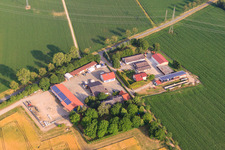 Wochner strawberries and lamb's lettuce and Oswald Schopp farmer in Merdingen in the state Baden-Wuerttemberg, Germany