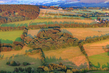 Forest and field on the mountain meadow path in the district Herchenhain in Grebenhain in the state Hesse, Germany