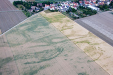 Aerial photograpy of District Flomersheim in Frankenthal in the state Rhineland-Palatinate, Germany