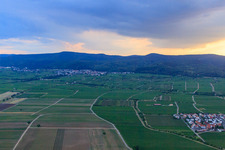 Wine-growing village on the edge of the Haardt from the east in the district Königsbach in Neustadt an der Weinstraße in the state Rhineland-Palatinate, Germany