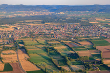 City overview from the east in Haßloch in the state Rhineland-Palatinate, Germany