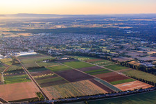 City overview from the west in Schifferstadt in the state Rhineland-Palatinate, Germany
