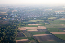 District Oggersheim in Ludwigshafen am Rhein in the state Rhineland-Palatinate, Germany from a drone