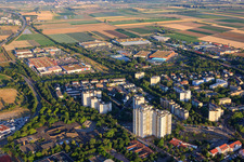 Residential high-rise buildings on Mörike-Straße from the east in the district Oggersheim in Ludwigshafen am Rhein in the state Rhineland-Palatinate, Germany
