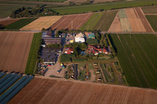 P.+H. Fehmel Gemuesebau for vegetable growing ranks in Mutterstadt in the state Rhineland-Palatinate