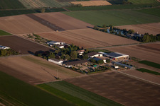 Mutterstadt in the state Rhineland-Palatinate, Germany out of the air
