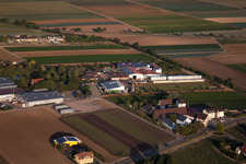 Gerd Sahler Vegetable Trade in the district Dannstadt in Dannstadt-Schauernheim in the state Rhineland-Palatinate, Germany