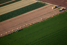 Harvest use of heavy agricultural machinery - combine harvesters and harvesting vehicles on agricultural fields in Boehl-Iggelheim in the state Rhineland-Palatinate