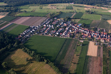 Drone recording of From the north in Erlenbach bei Kandel in the state Rhineland-Palatinate, Germany