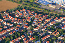 Cherry Trail in Bellheim in the state Rhineland-Palatinate, Germany