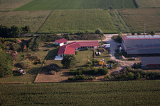 Aerial view of Chicken farm Aussiedlerhof in Erlenbach bei Kandel in the state Rhineland-Palatinate, Germany