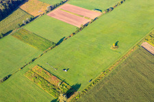 Drone image of Landing of a hot air balloon D-OTKA in Erlenbach bei Kandel in the state Rhineland-Palatinate, Germany