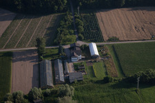 Aerial view of Nursery at Erlenbach in Erlenbach bei Kandel in the state Rhineland-Palatinate, Germany