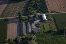Aerial photograpy of Nursery at Erlenbach in Erlenbach bei Kandel in the state Rhineland-Palatinate, Germany