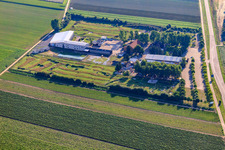 Bird's eye view of Southern Palatinate Football Golf Park at Adamshof Kandel in Kandel in the state Rhineland-Palatinate, Germany