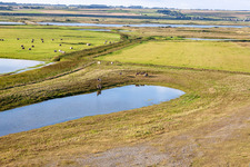Pastures behind the dike in Woignarue in the state Somme, France