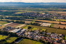 District Niederlustadt in Lustadt in the state Rhineland-Palatinate, Germany seen from a drone