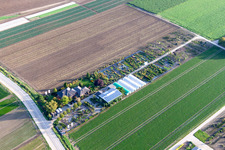 Aerial view of Krüger Nursery in Mutterstadt in the state Rhineland-Palatinate, Germany