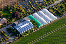 Aerial photograpy of Krüger Nursery in Mutterstadt in the state Rhineland-Palatinate, Germany