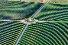 Aerial view of Houschder Winemaker's Tower in the district Niederhochstadt in Hochstadt in the state Rhineland-Palatinate, Germany