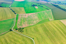 Fields and mown meadows in the district Unterfischach in Obersontheim in the state Baden-Wuerttemberg, Germany