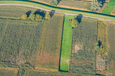 Aerial photograpy of Model airfield in Hagenbach in the state Rhineland-Palatinate, Germany