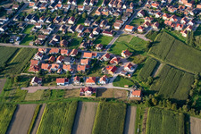 Aerial view of Kantstr in Neuburg am Rhein in the state Rhineland-Palatinate, Germany