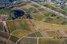 Aerial photograpy of Kastanienbusch vineyard "Keschdebusch in Birkweiler in the state Rhineland-Palatinate, Germany