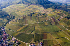 Kastanienbusch vineyard "Keschdebusch in Birkweiler in the state Rhineland-Palatinate, Germany from above