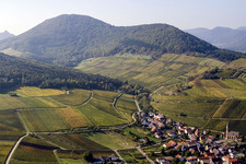 Town View of the streets and houses of the residential areas in Birkweiler in the state Rhineland-Palatinate
