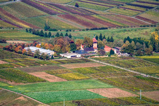BFA-Geilweilerhof (Vine Research Institute) in Siebeldingen in the state Rhineland-Palatinate, Germany