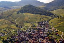 Aerial view of Kastanienbusch vineyard in Birkweiler in the state Rhineland-Palatinate, Germany