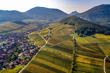 Mandelhain vineyard in Birkweiler in the state Rhineland-Palatinate, Germany