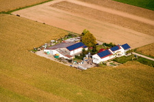 Rosenhof Wine and Sparkling Wine Estate in Steinweiler in the state Rhineland-Palatinate, Germany from above