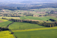 Row of trees on a country road on a field edge in the district Hohenwettersbach in Karlsruhe in the state Baden-Wurttemberg