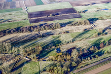 Billigheimer Bruch biotope in the district Mühlhofen in Billigheim-Ingenheim in the state Rhineland-Palatinate, Germany