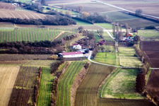 Herxheim, Wagner Ranch from the north in Herxheim bei Landau in the state Rhineland-Palatinate, Germany