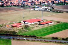 Chicken farm egg farm in Erlenbach bei Kandel in the state Rhineland-Palatinate, Germany viewn from the air