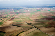Aerial view of Fields in Offenbach an der Queich in the state Rhineland-Palatinate, Germany