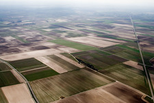 Fields between Insheim and Herxheim in Offenbach an der Queich in the state Rhineland-Palatinate, Germany