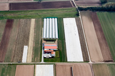 Aussiedlerhof Steegmüller in Offenbach an der Queich in the state Rhineland-Palatinate, Germany