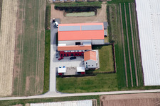 Aerial view of Aussiedlerhof Steegmüller in Offenbach an der Queich in the state Rhineland-Palatinate, Germany