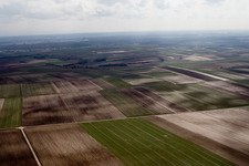 Aerial photograpy of Fields between Insheim and Herxheim in Offenbach an der Queich in the state Rhineland-Palatinate, Germany
