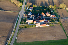 Welschhof in Freckenfeld in the state Rhineland-Palatinate, Germany from the drone perspective