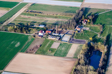 Homestead of a farm Reitstall Spiess in Harthausen in the state Rhineland-Palatinate
