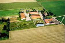Bird's eye view of Schoßberghof in Minfeld in the state Rhineland-Palatinate, Germany