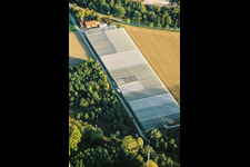 Aerial view of Nursery in the district Sondernheim in Germersheim in the state Rhineland-Palatinate, Germany