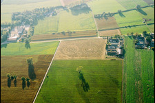 Corn-Maze - Labyrinth in a former corn-field in Hockenheim in the state Baden-Wurttemberg