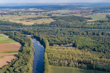 Old Rhine / Michelsbach in the district Sondernheim in Germersheim in the state Rhineland-Palatinate, Germany